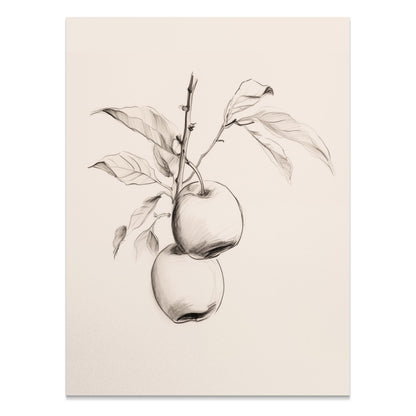 Premium Poster of Vintage Botanical Illustration of Apple Tree Posters