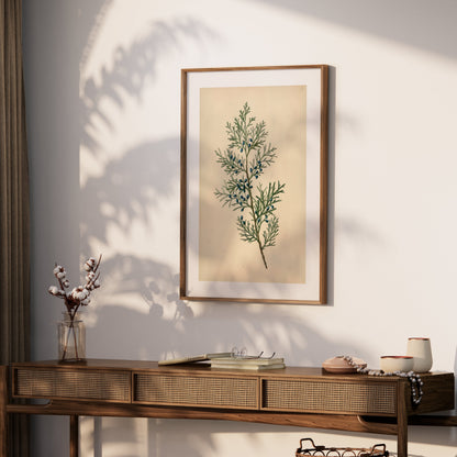 Premium Poster of Vintage Botanical Print with Greenery and Berries Posters