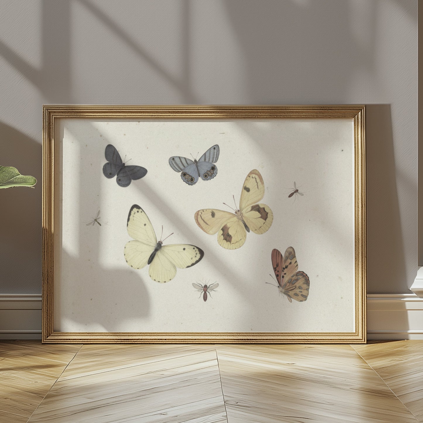 Premium Poster of Vintage Butterflies and Insects Collection Posters