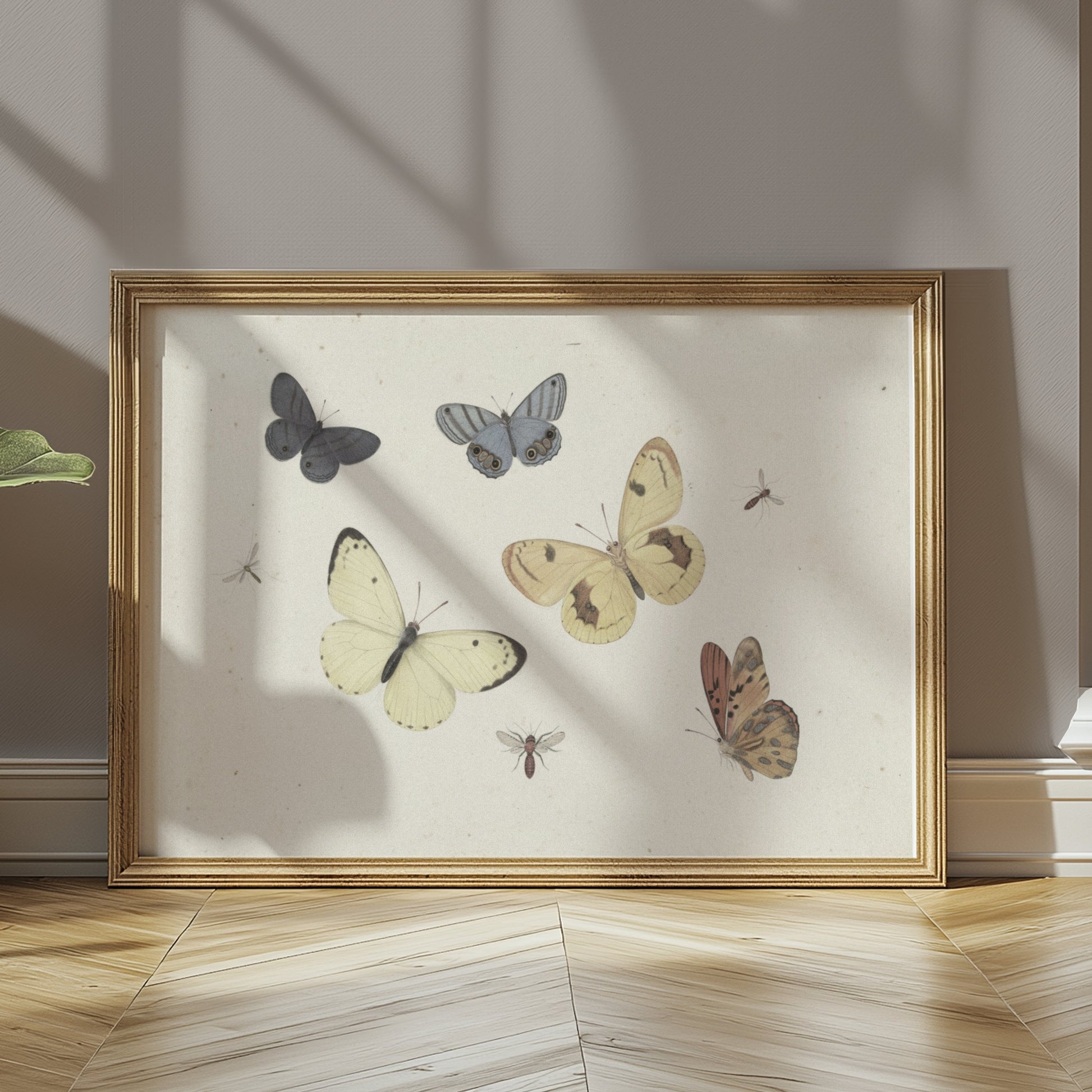 Premium Poster of Vintage Butterflies and Insects Collection Posters