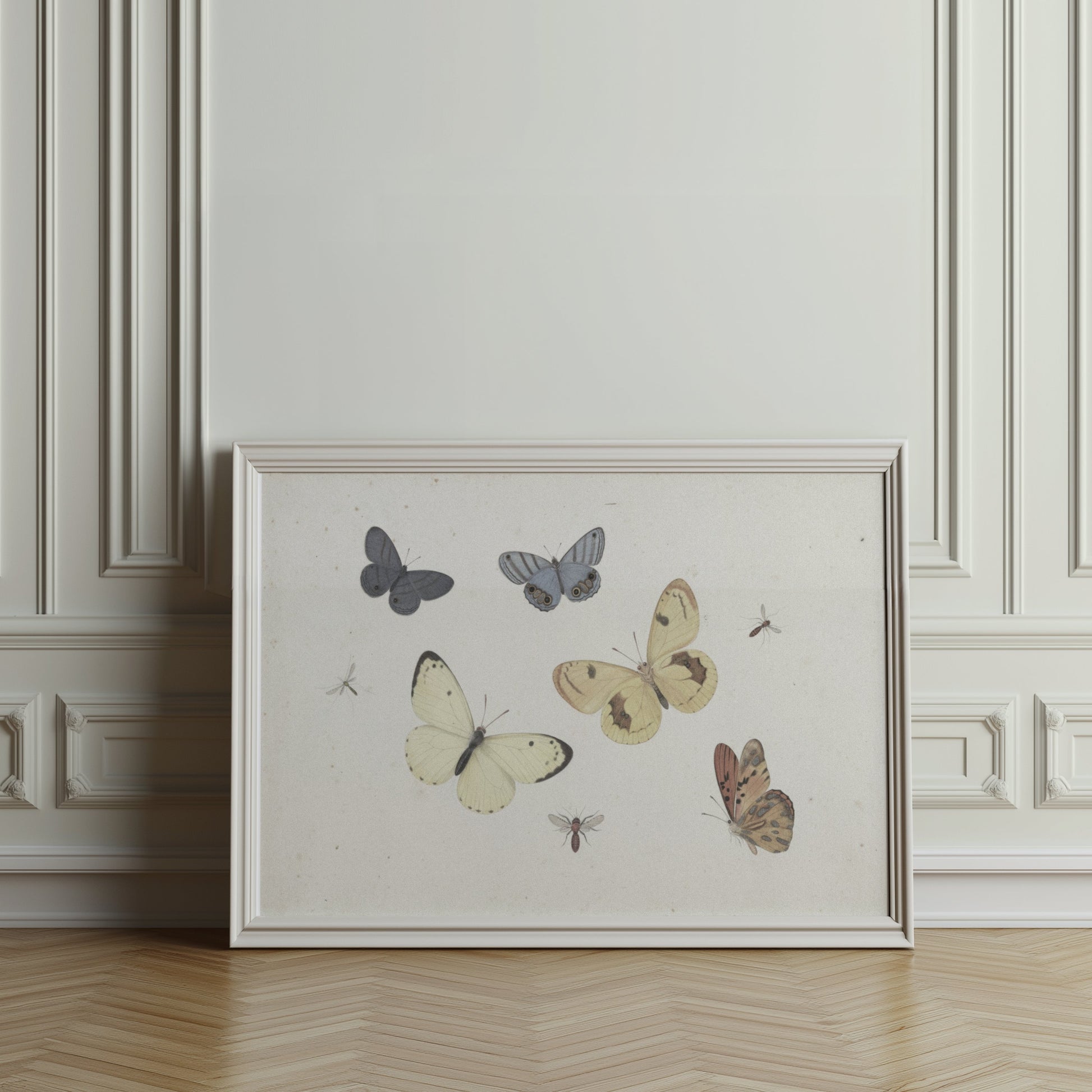 Premium Poster of Vintage Butterflies and Insects Collection Posters