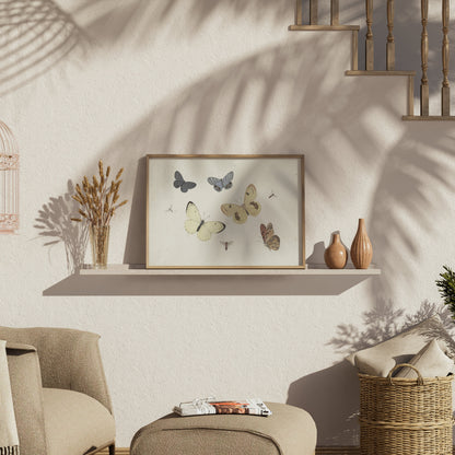 Premium Poster of Vintage Butterflies and Insects Collection Posters