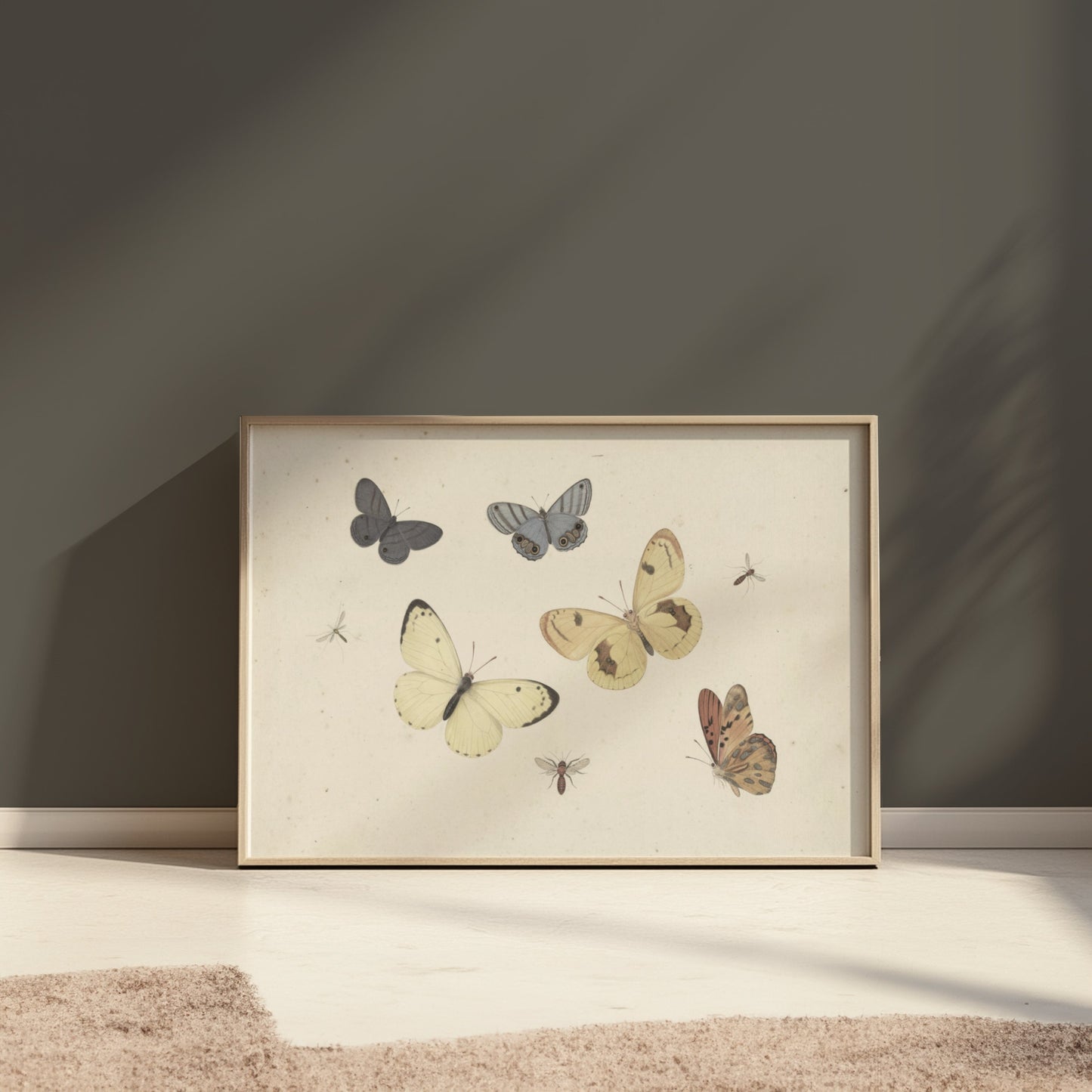 Premium Poster of Vintage Butterflies and Insects Collection Posters