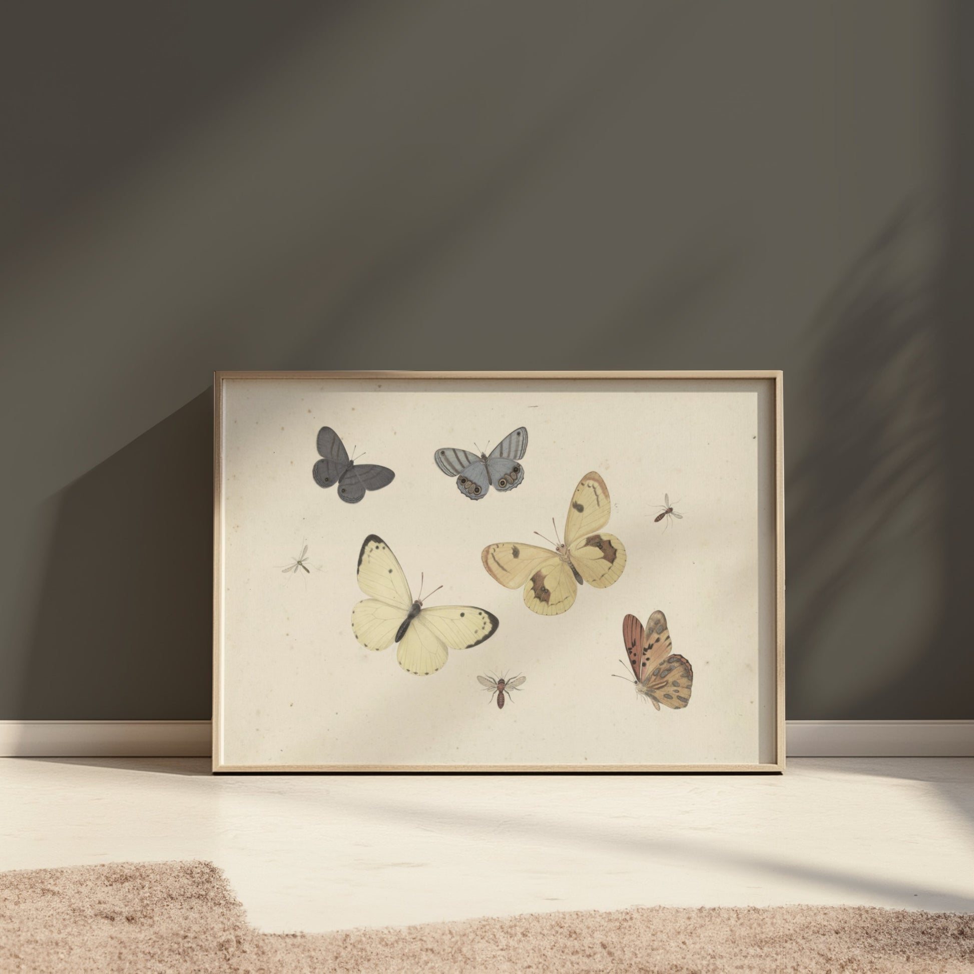 Premium Poster of Vintage Butterflies and Insects Collection Posters