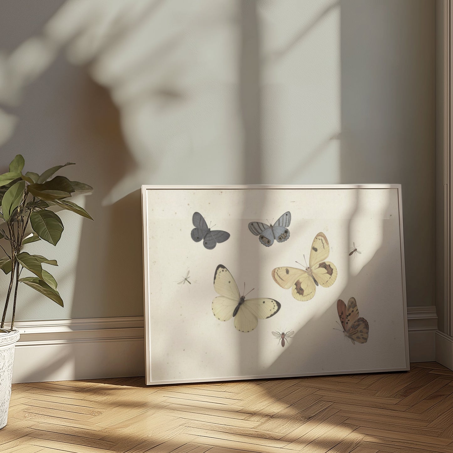 Premium Poster of Vintage Butterflies and Insects Collection Posters