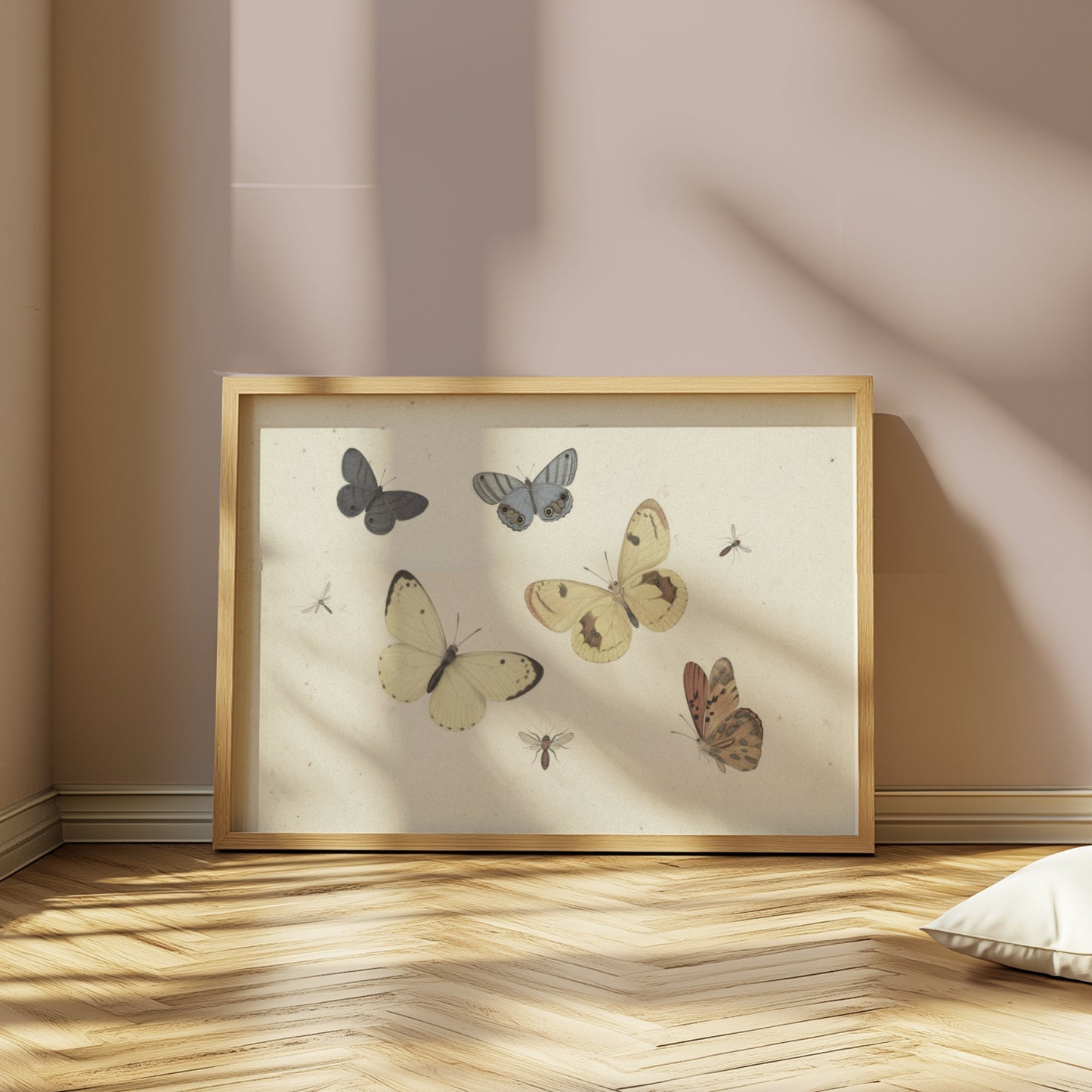 Premium Poster of Vintage Butterflies and Insects Collection Posters