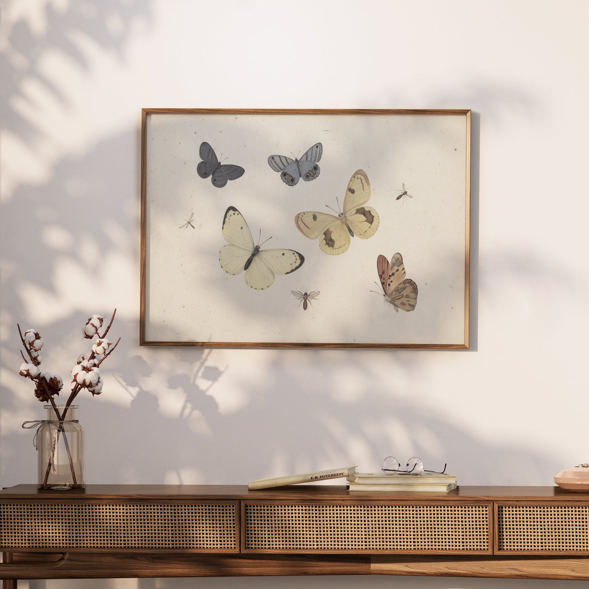 Premium Poster of Vintage Butterflies and Insects Collection Posters