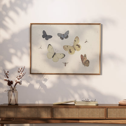 Premium Poster of Vintage Butterflies and Insects Collection Posters