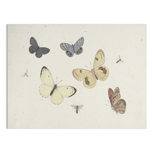 Premium Poster of Vintage Butterflies and Insects Collection Posters