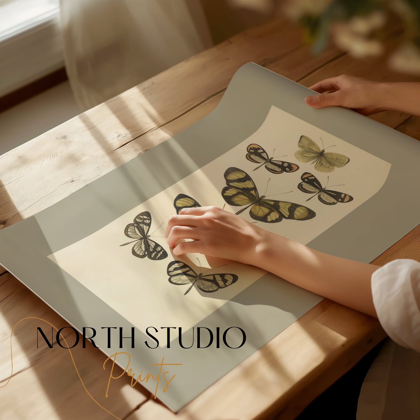 Premium Poster of Vintage Butterfly Illustrations Art Print Posters