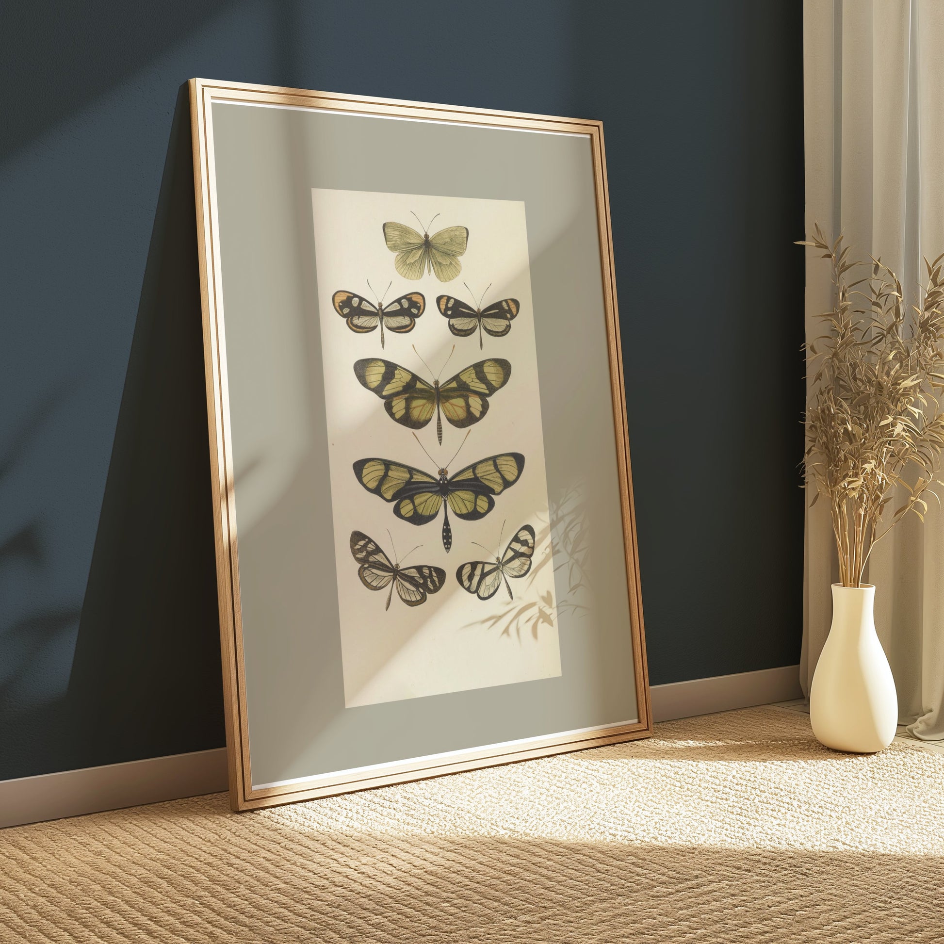 Premium Poster of Vintage Butterfly Illustrations Art Print Posters