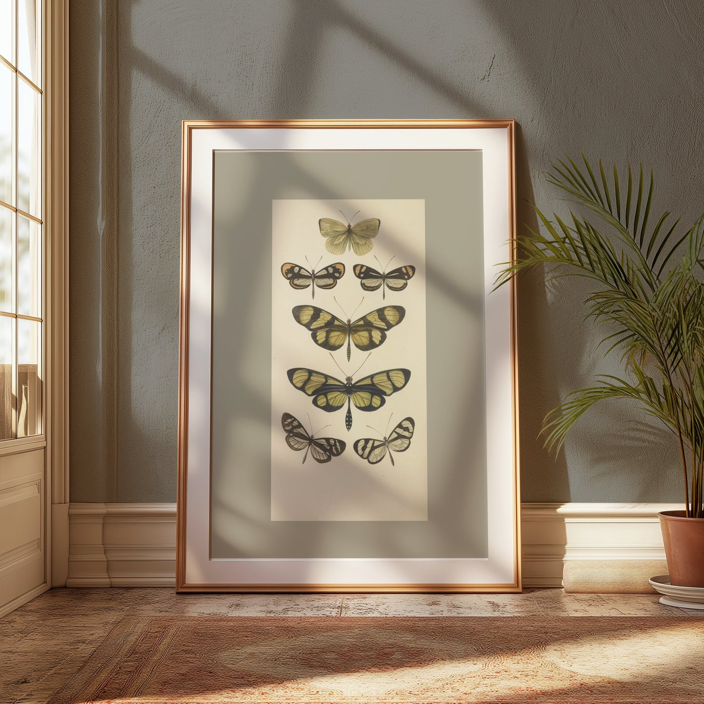 Premium Poster of Vintage Butterfly Illustrations Art Print Posters