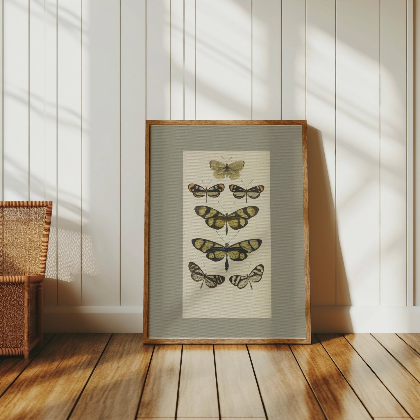 Premium Poster of Vintage Butterfly Illustrations Art Print Posters