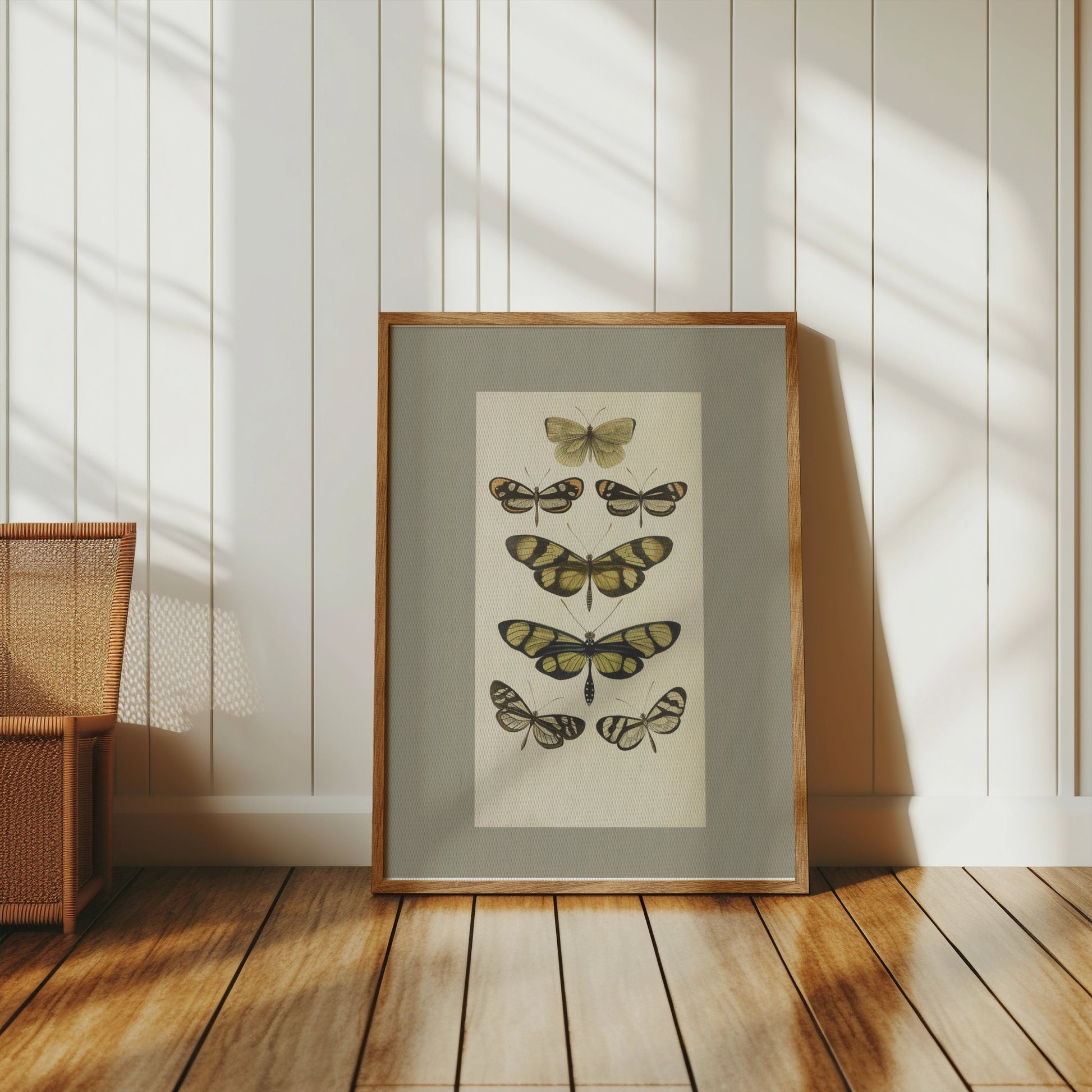 Premium Poster of Vintage Butterfly Illustrations Art Print Posters