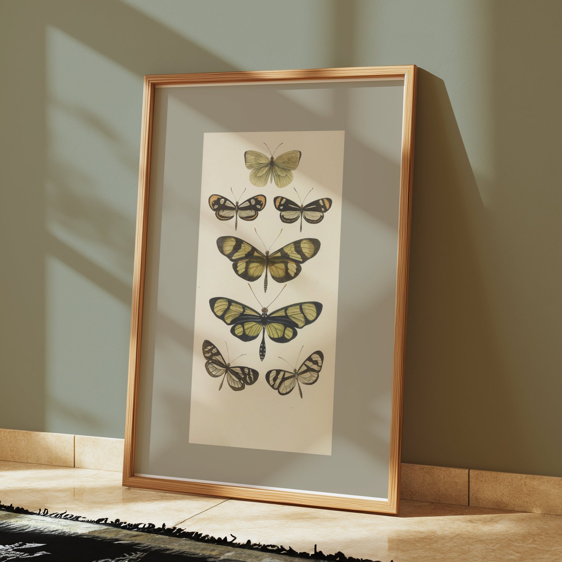 Premium Poster of Vintage Butterfly Illustrations Art Print Posters