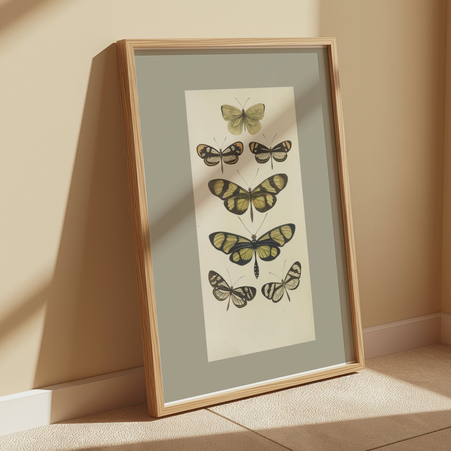 Premium Poster of Vintage Butterfly Illustrations Art Print Posters