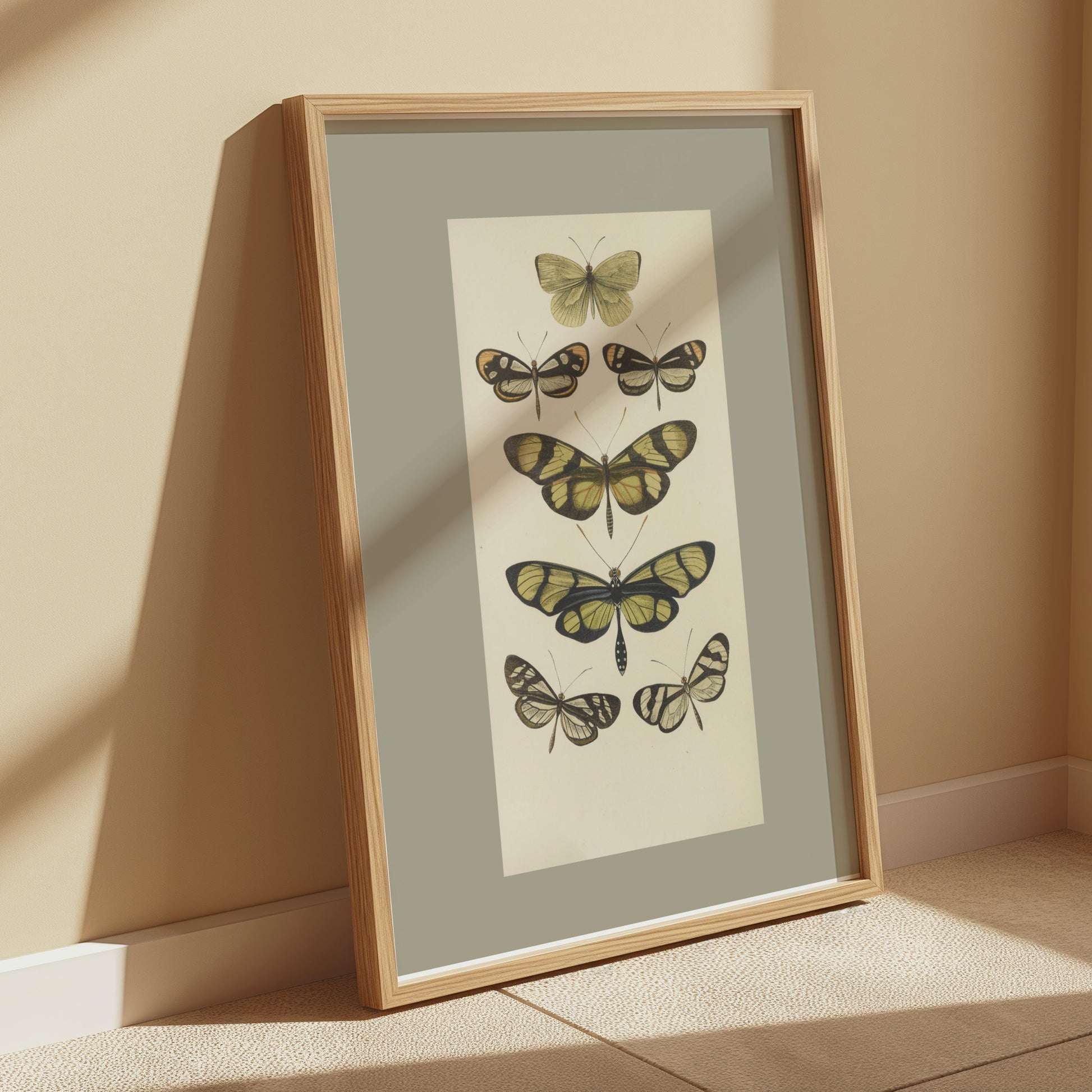Premium Poster of Vintage Butterfly Illustrations Art Print Posters