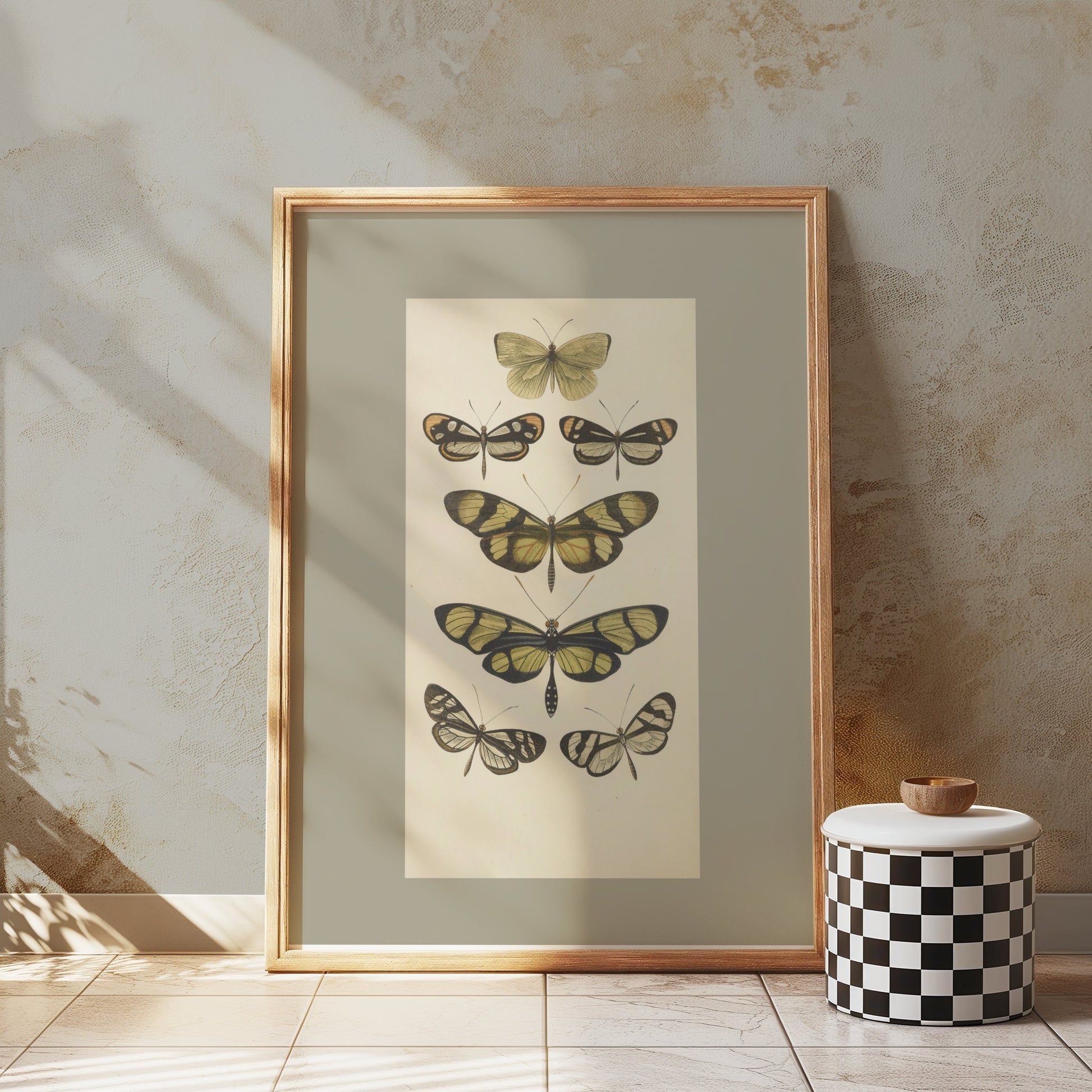 Premium Poster of Vintage Butterfly Illustrations Art Print Posters