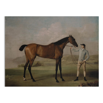 Premium Poster of Vintage Equestrian Scene with Horse and Rider Posters