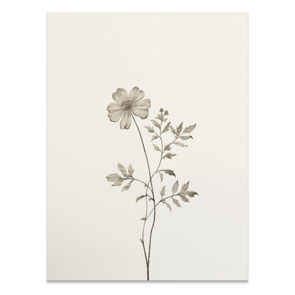 Premium Poster of Vintage Floral Botanical Print Wall Art Posters