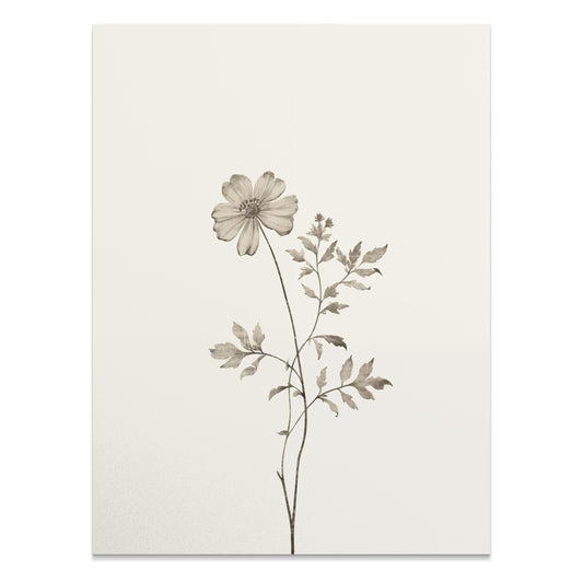 Premium Poster of Vintage Floral Botanical Print Wall Art Posters