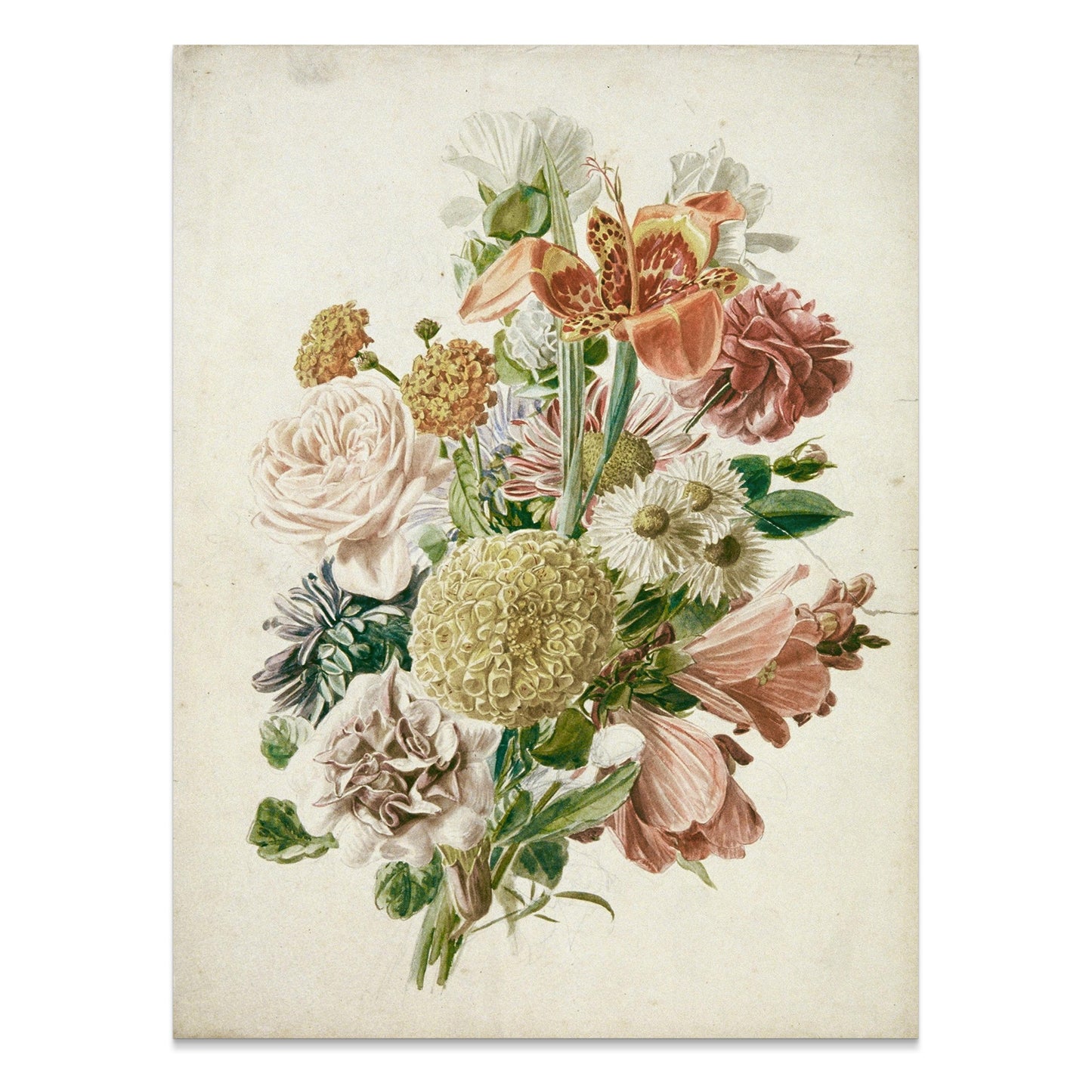 Premium Poster of Vintage Floral Bouquet Illustration Posters