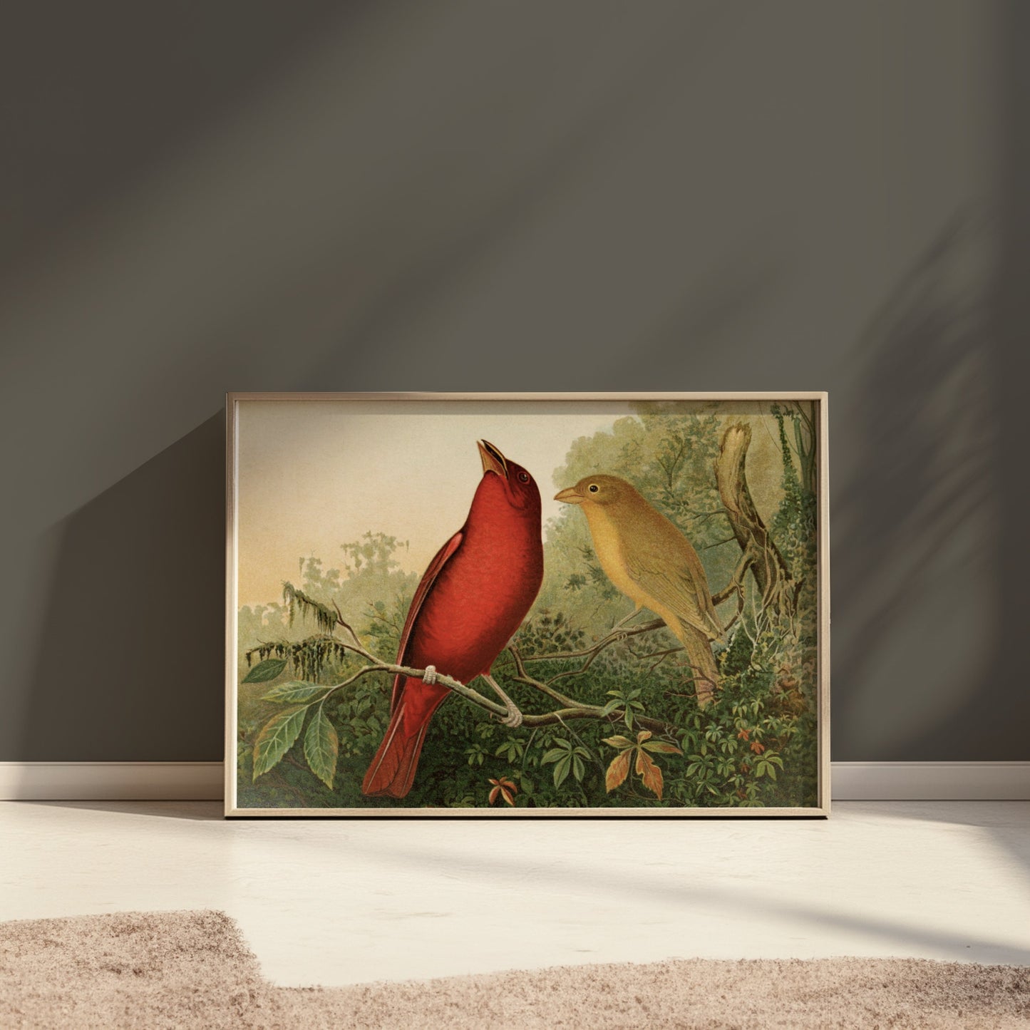 Premium Poster of Vintage Illustration of Two Birds on Branch Posters
