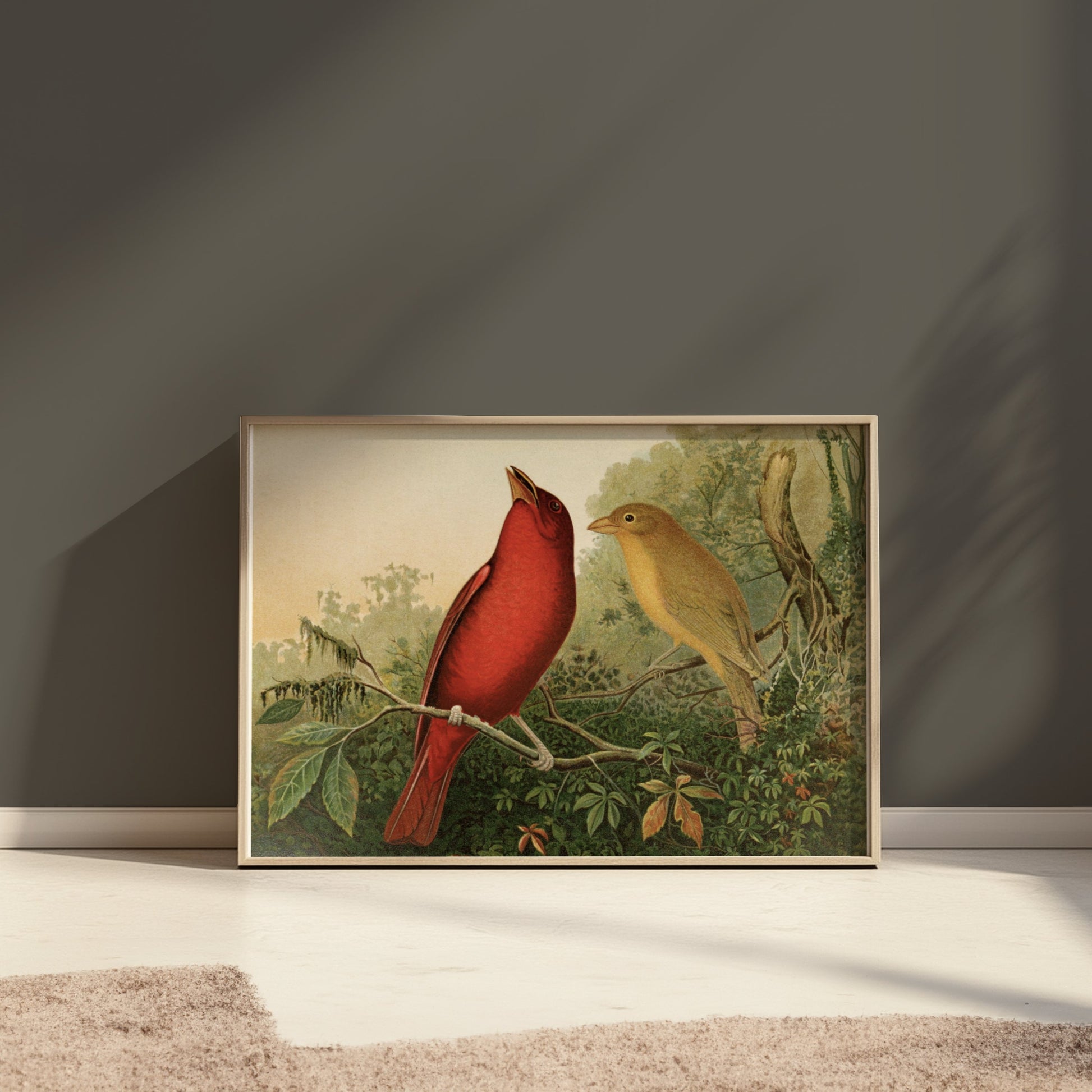 Premium Poster of Vintage Illustration of Two Birds on Branch Posters