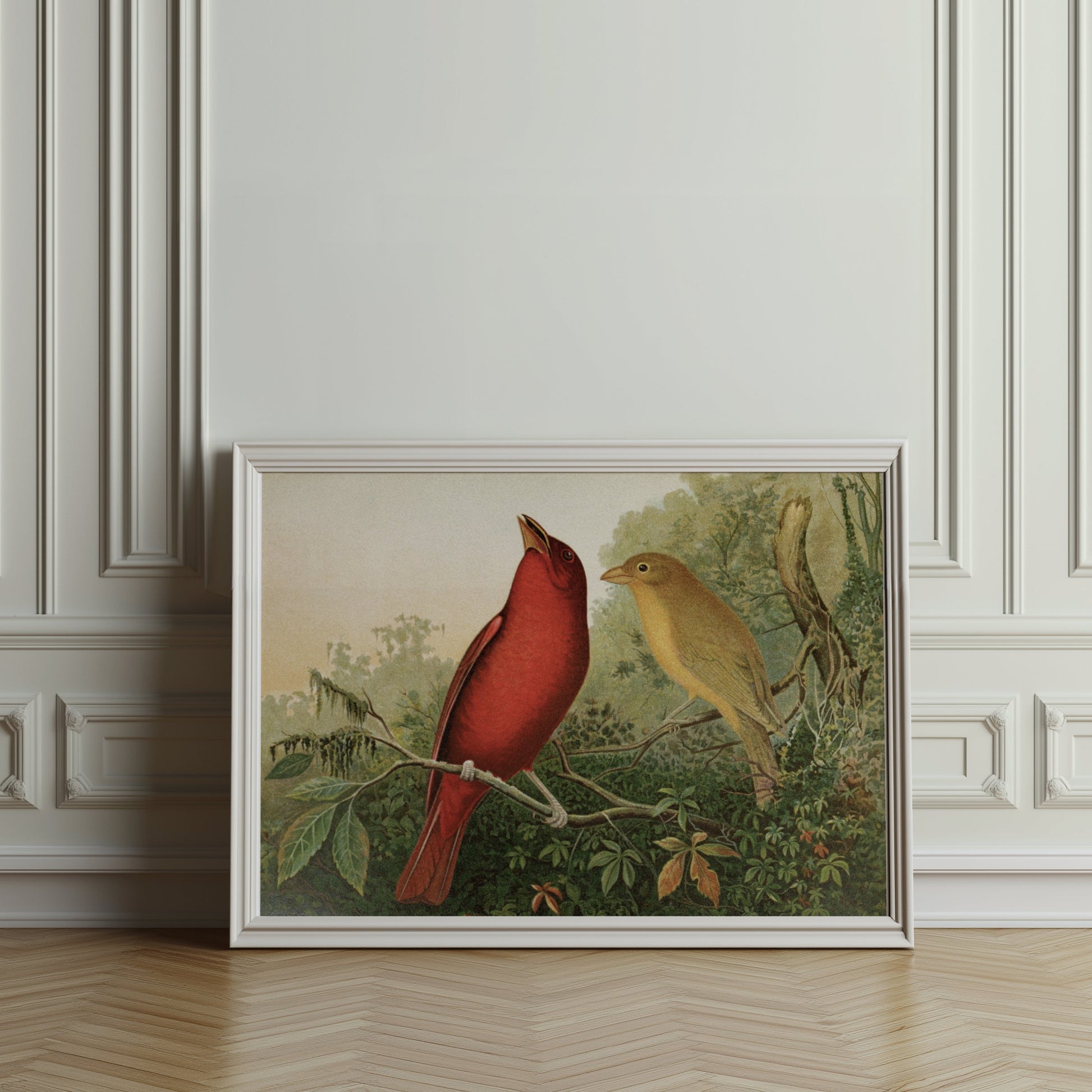 Premium Poster of Vintage Illustration of Two Birds on Branch Posters