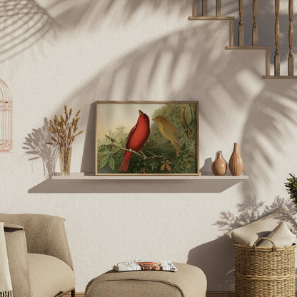 Premium Poster of Vintage Illustration of Two Birds on Branch Posters