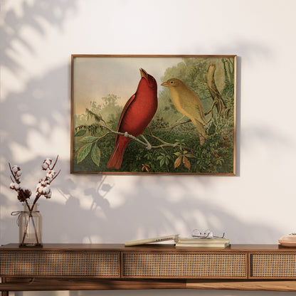 Premium Poster of Vintage Illustration of Two Birds on Branch Posters