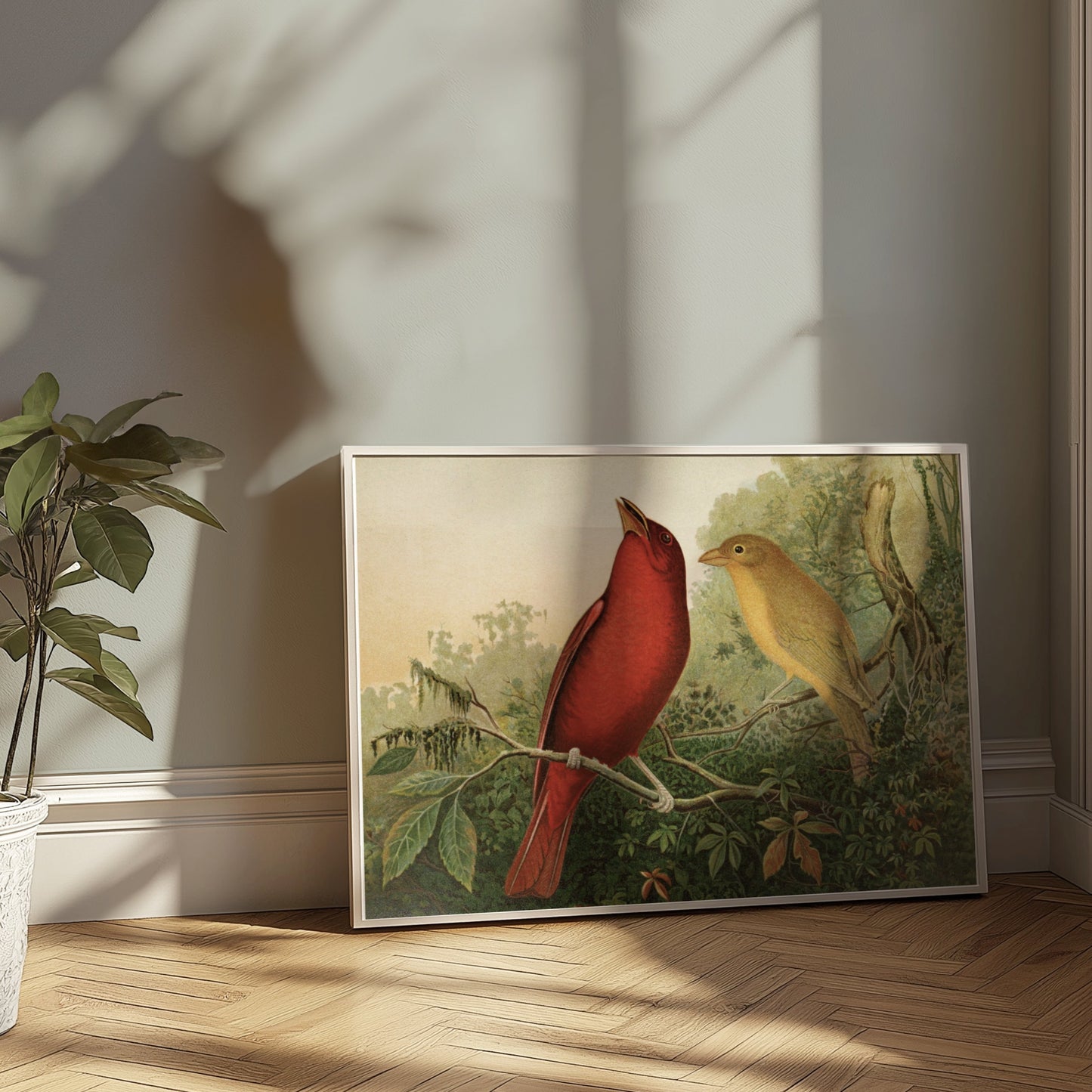 Premium Poster of Vintage Illustration of Two Birds on Branch Posters