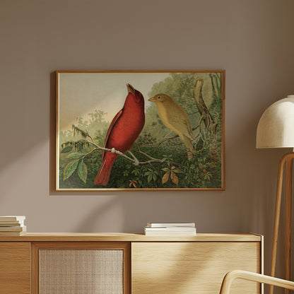 Premium Poster of Vintage Illustration of Two Birds on Branch Posters