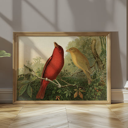 Premium Poster of Vintage Illustration of Two Birds on Branch Posters