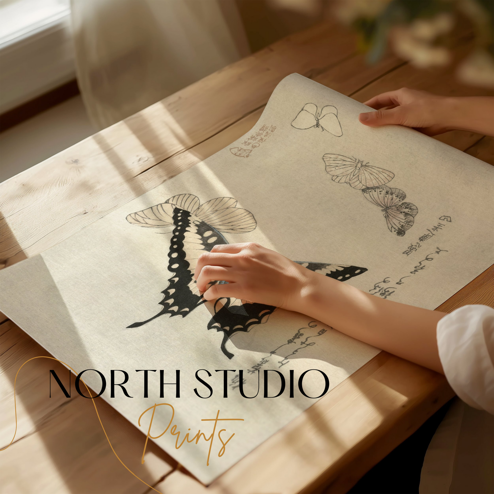 Premium Poster of Vintage Japanese Butterfly and Moth Art Print Posters