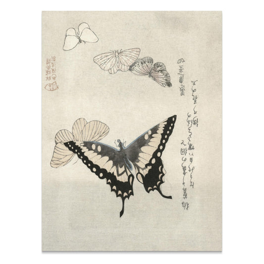 Premium Poster of Vintage Japanese Butterfly and Moth Art Print Posters