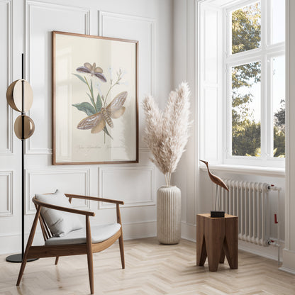 Premium Poster of Vintage Moth and Botanical Illustration Art Posters