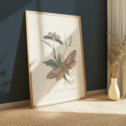 Premium Poster of Vintage Moth and Botanical Illustration Art Posters