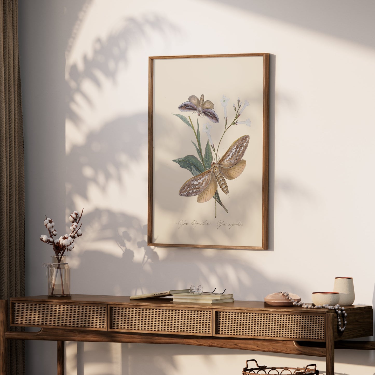 Premium Poster of Vintage Moth and Botanical Illustration Art Posters