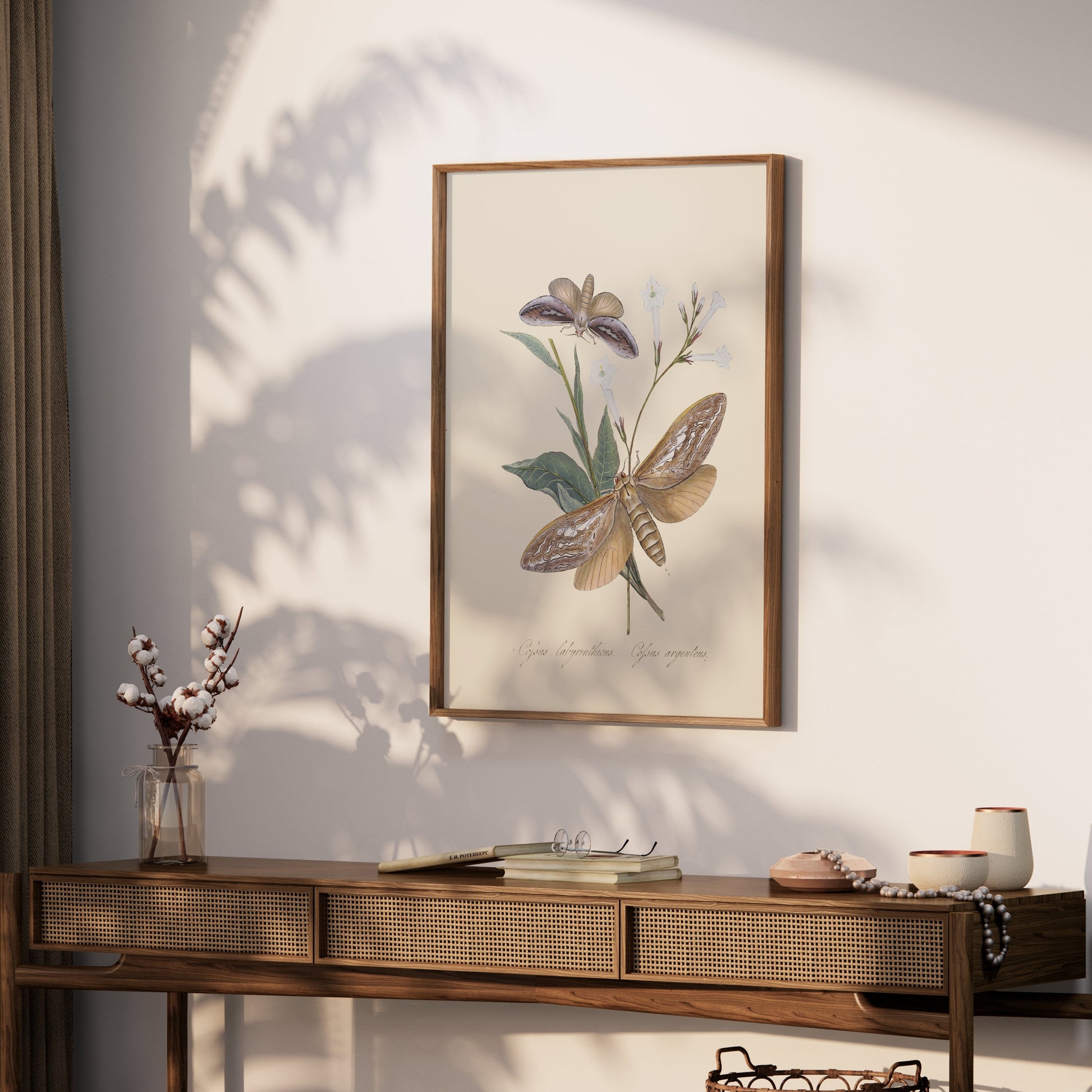 Premium Poster of Vintage Moth and Botanical Illustration Art Posters