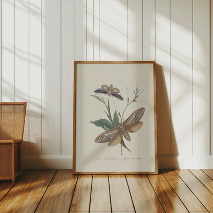Premium Poster of Vintage Moth and Botanical Illustration Art Posters