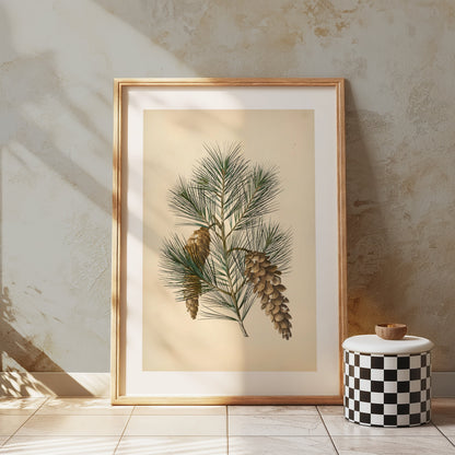 Premium Poster of Vintage Pine Branch Botanical Illustration Posters