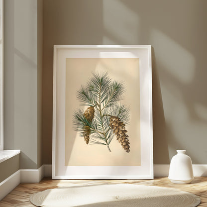 Premium Poster of Vintage Pine Branch Botanical Illustration Posters
