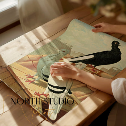 Premium Poster of Vintage Rooftop Pigeons Artwork Illustrative Posters