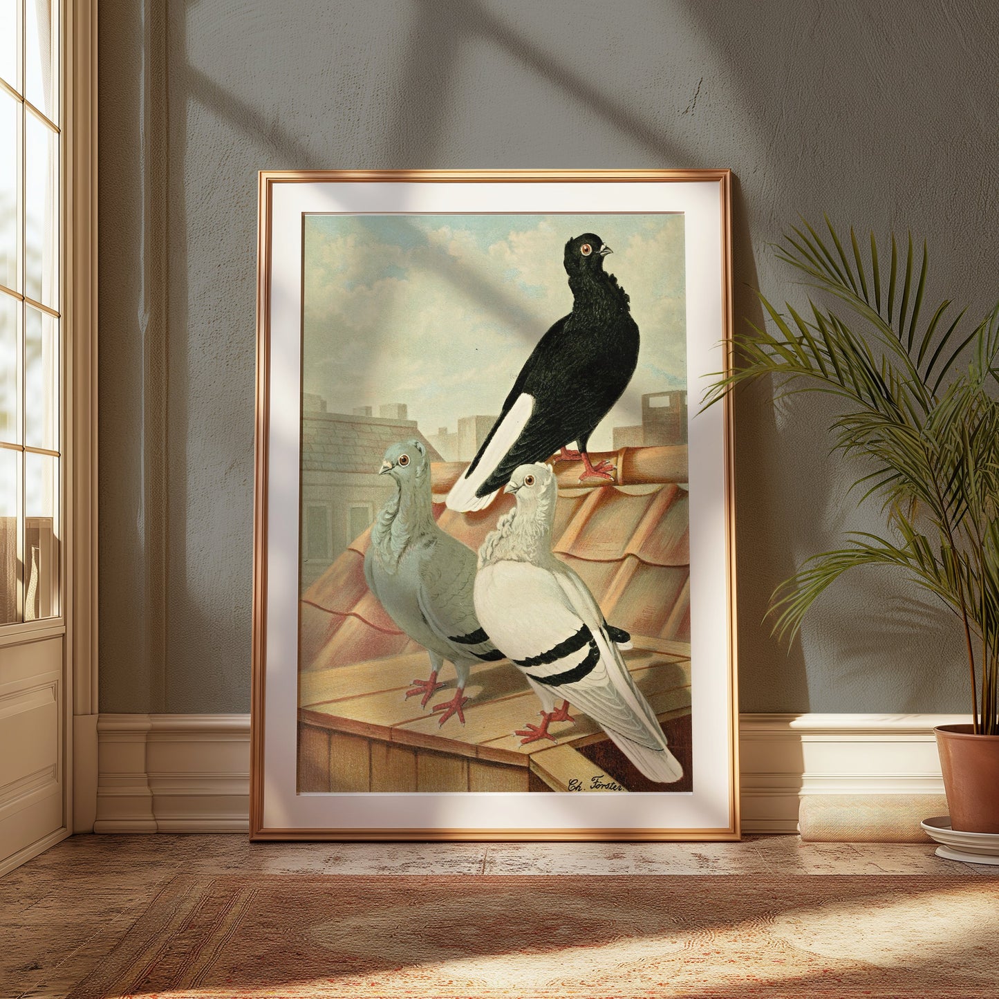 Premium Poster of Vintage Rooftop Pigeons Artwork Illustrative Posters