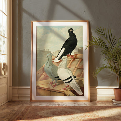 Premium Poster of Vintage Rooftop Pigeons Artwork Illustrative Posters