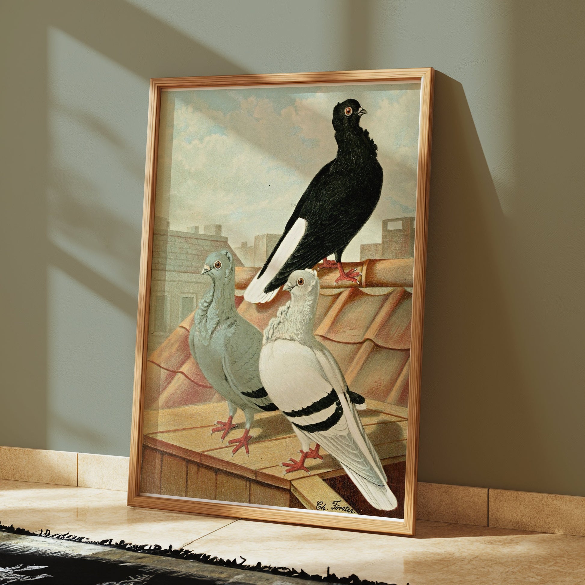 Premium Poster of Vintage Rooftop Pigeons Artwork Illustrative Posters