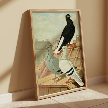 Premium Poster of Vintage Rooftop Pigeons Artwork Illustrative Posters