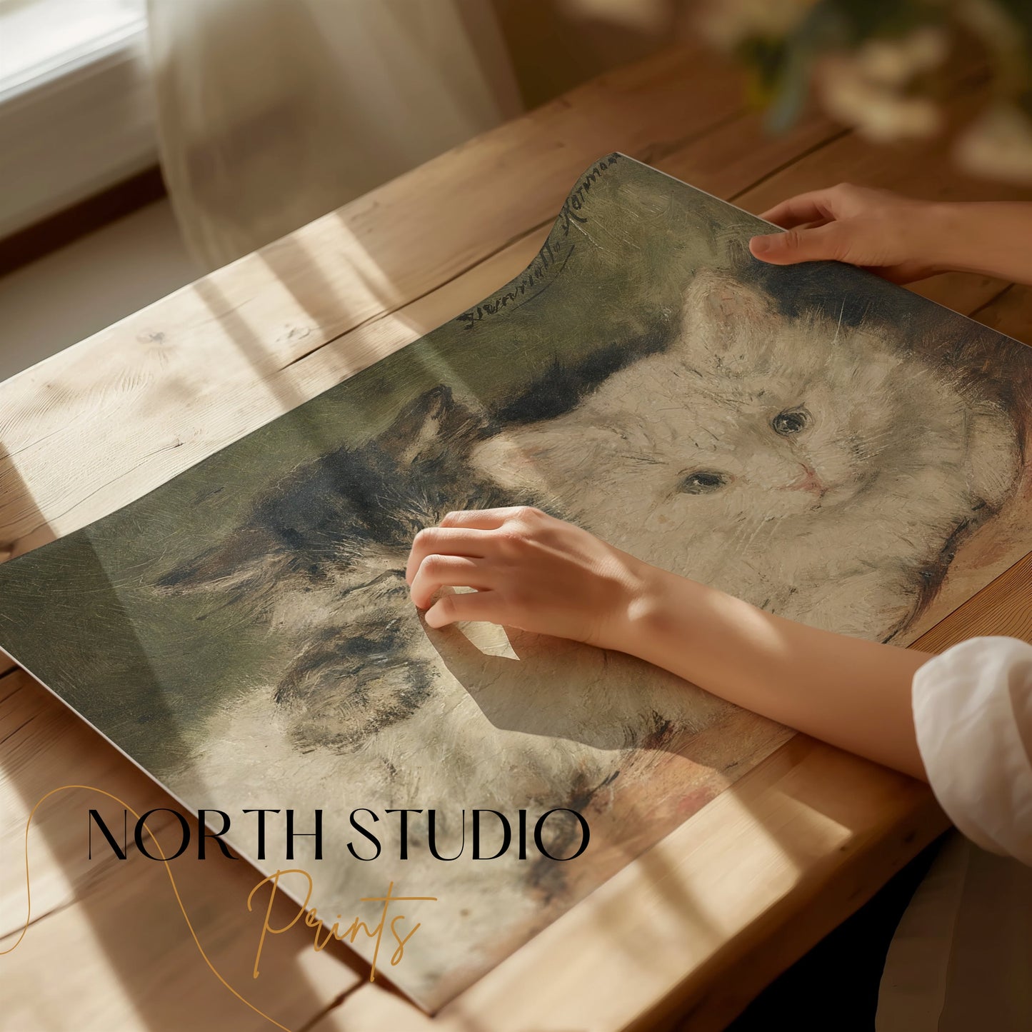 Premium Poster of Vintage Style Cute Cats Resting Painting Posters