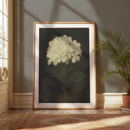 Premium Poster of White Hydrangea Painting Botanical Art Print Posters